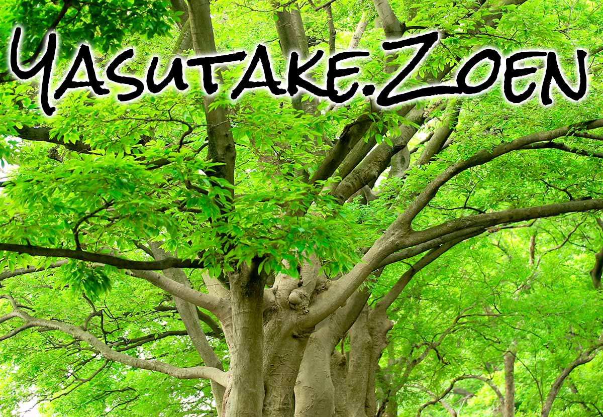 福岡市内 福岡地区の草刈り、芝刈り、生垣の刈り込み、庭木・植木の剪定 、雑木林・竹林の伐採なら安武造園にお任せください。