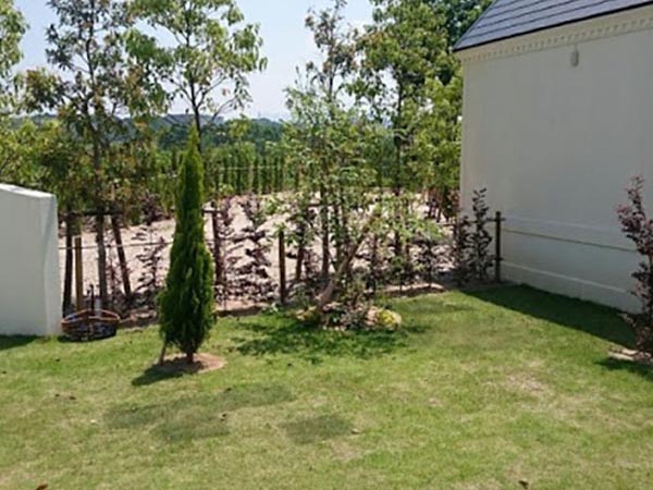 空き家の月極めの除草作業・草刈り 維持管理